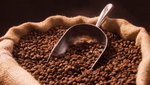 Kaffeebohnen: Sorte und Röstung entscheidend für Geschmacksgebung